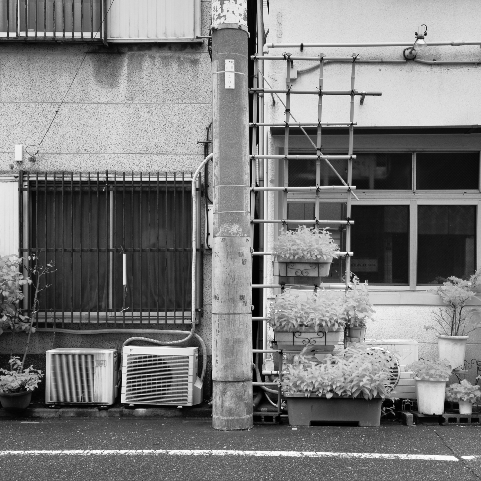 Ueno &amp; Asakusa Blended B&amp;W